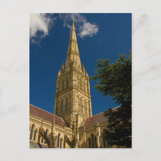 Salisbury Cathedral Postcard Vykort (Framsida)