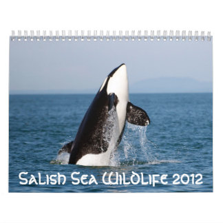 Salish havsdjurliv 2012 kalender