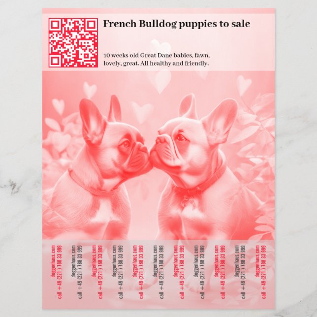 Sälj franska valpar Design Flyer (Framsidan)