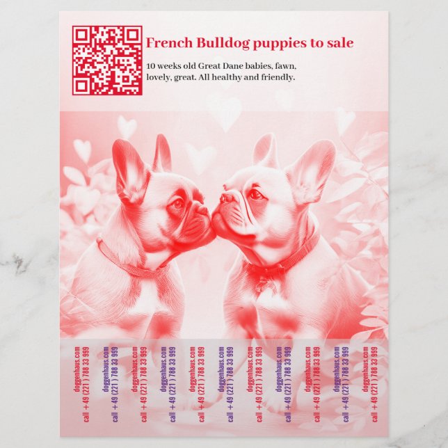 Sälj franska valpar Flyer (Framsidan)