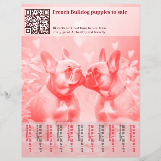 Sälja Fenchie Puppies Design Flyer (Framsidan)