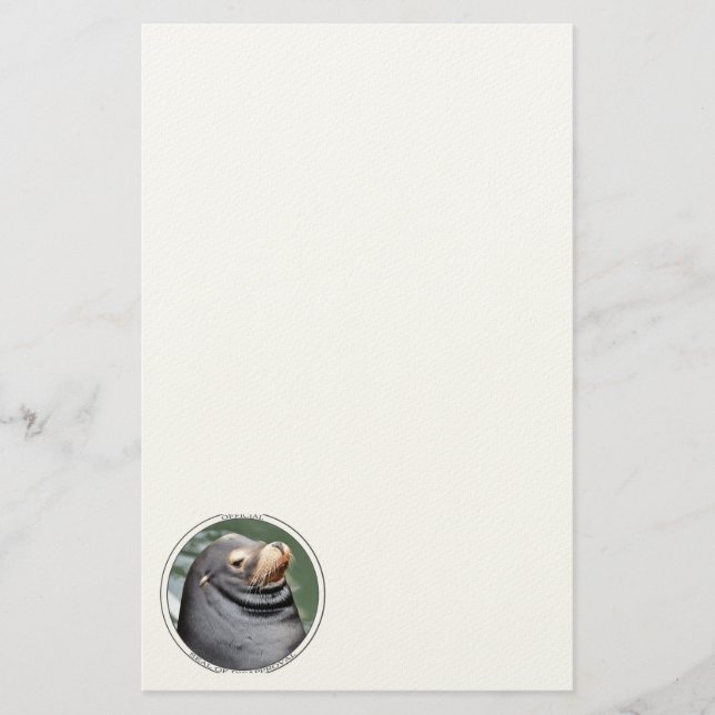 Säljare av missbilligande 8,5x11 papper (Framsida)