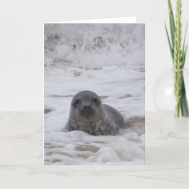 Säljare - gratulationskort för fotoutskrift i Färg Kort