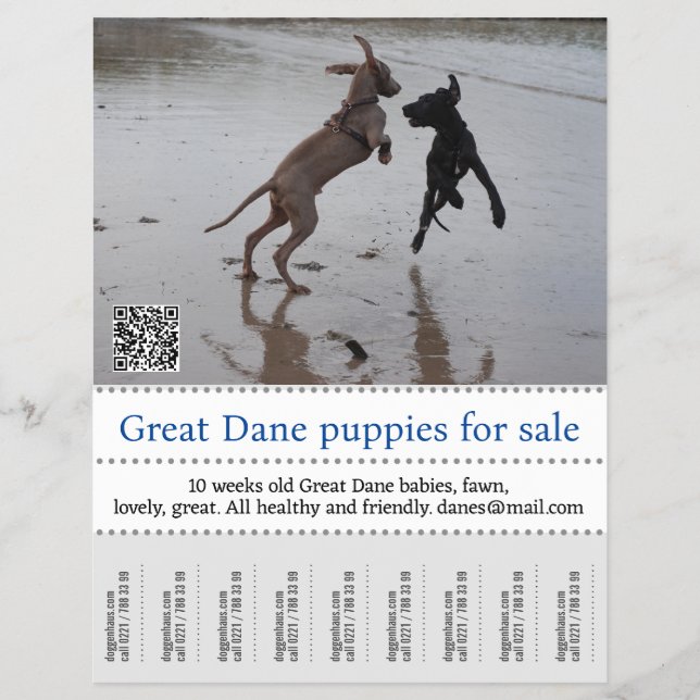 Säljaren Poster Reklamblad (Framsidan)