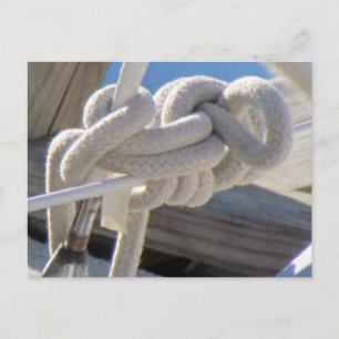Säljarens Knot-vykort Vykort