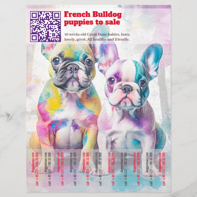 Säljer Frenchie-valpar Design Flyer (Framsidan)