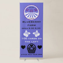 Säljfrämjande åtgärder för odlingen av blåbär på U