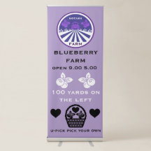 Säljfrämjande åtgärder för odlingen av blåbär på U