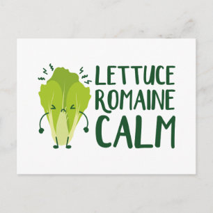Sallad Romaine Lugn Vykort