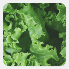 Sallat av vegetabilisk Grönt Fyrkantigt Klistermärke