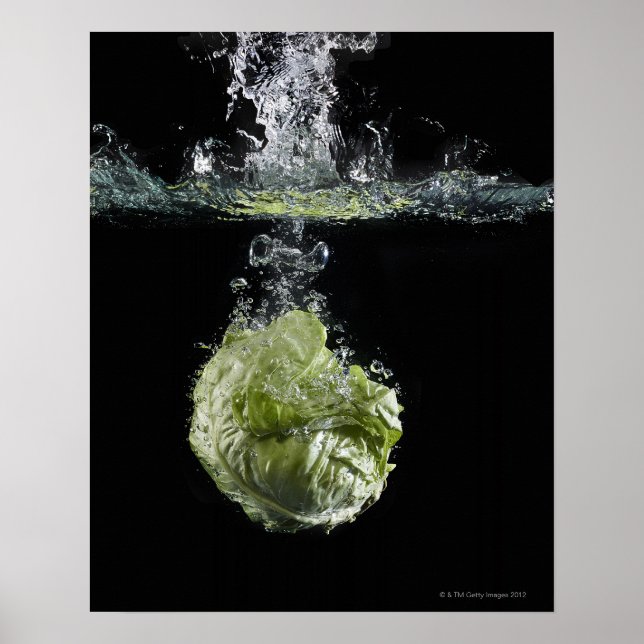 Sallat i vatten poster (Framsidan)