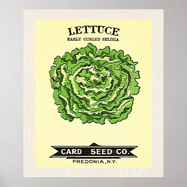 Sallat Seeds Card Seed Company Poster (Framsidan)