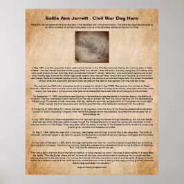 Sallie Ann Jarrett, Civil Krig Hund Hero Poster