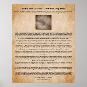 Sallie Ann Jarrett, Civil Krig Hund Hero Poster