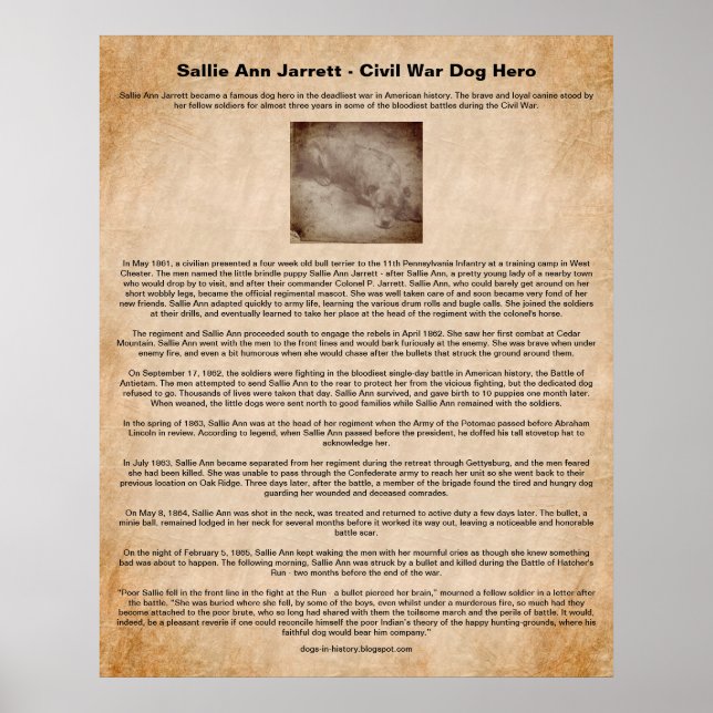 Sallie Ann Jarrett, Civil Krig Hund Hero Poster (Framsidan)