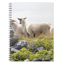 Sällsamma mönster - Får på ett fält Anteckningsbok Med Spiral