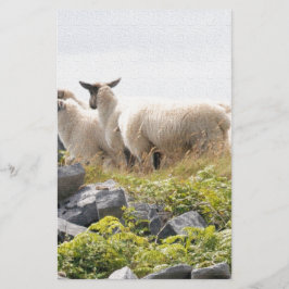 Sällsamma mönster - Får på ett fält Brevpapper