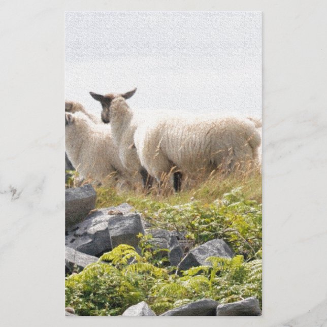 Sällsamma mönster - Får på ett fält Brevpapper (Framsida)