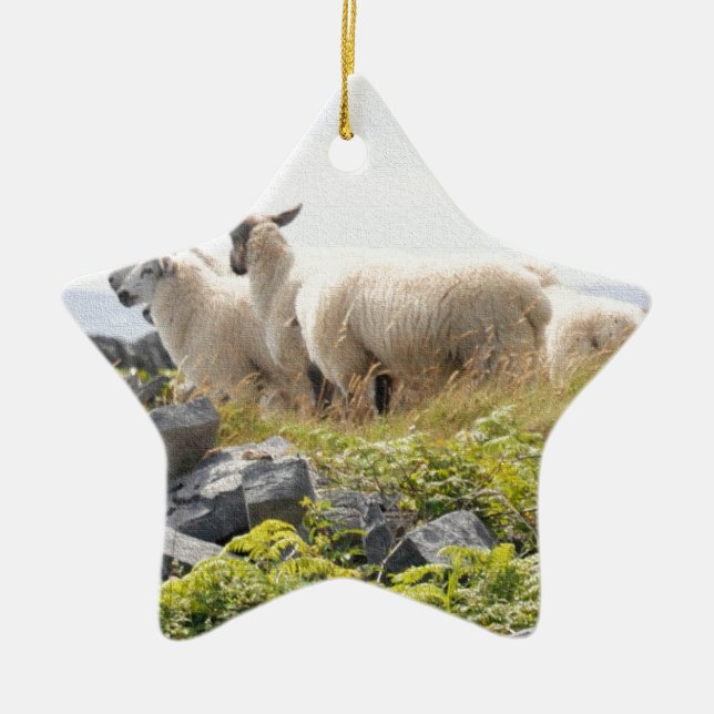 Sällsamma mönster - Får på ett fält Julgransprydnad Keramik (Framsidan)