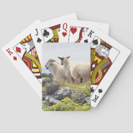 Sällsamma mönster - Får på ett fält Spel Kort