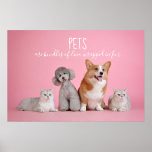 Sällskapsdjur är paket av Kärlek // katter och fot Poster