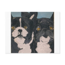 Sällskapsdjur efter gensburg