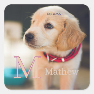 sällskapsdjur hund foto est år namn monogram katt fyrkantigt klistermärke