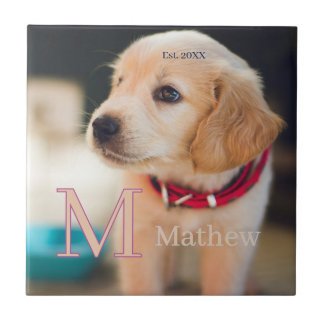 sällskapsdjur hund foto est år namn monogram katt  kakelplatta