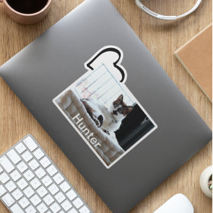 Sällskapsdjur Hund Katt Hjärta Anpassad Foto Mall Klistermärken