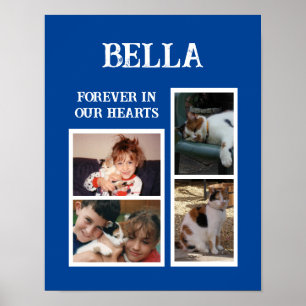 Sällskapsdjur, katt 4 fotokollage tillsätt namn bl poster