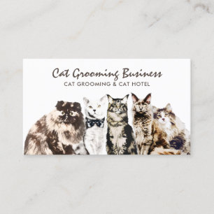 Sällskapsdjur (Salon Spa Cats) Visitkort