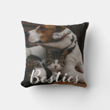 Sällskapsdjur Vän Husdjurs Pappa Katt Mamma Gåva B