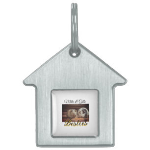 Sällskapsdjur vänner add name husdjur foto djur kä ID-bricka husdjur