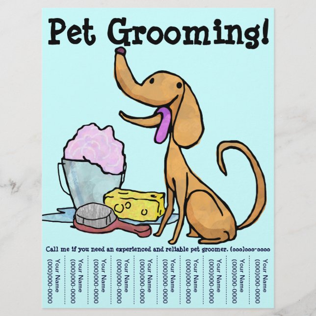 Sällskapsgrooming, Hund Flyer (Framsidan)