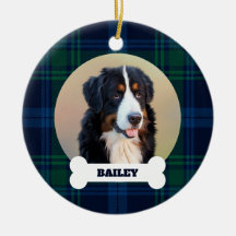 Sällskapshund Foto Blå Grön Tartan Randig Namn på