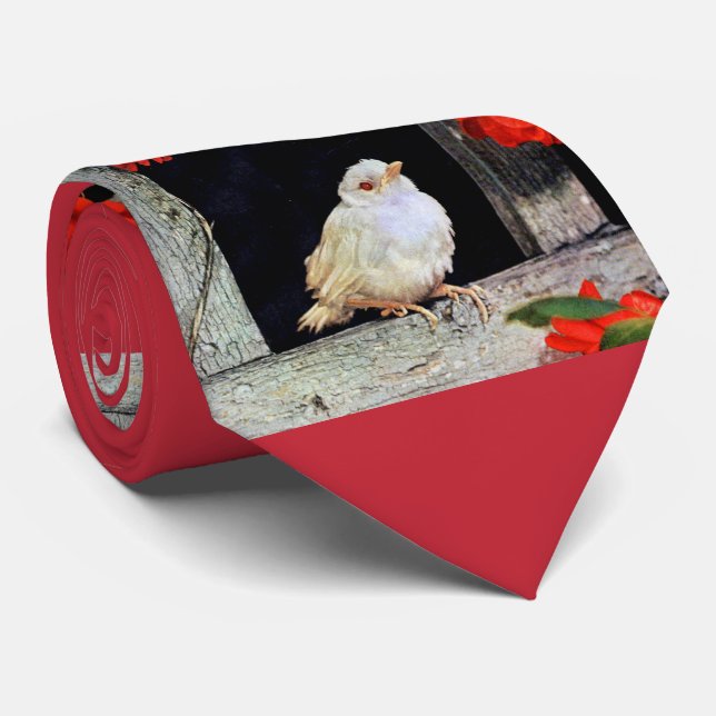 SÄLLSYNT albino robin-fågel Slips (Rullad)