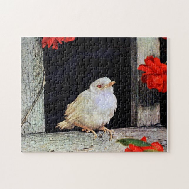 SÄLLSYNT albino robin Pussel (Horisontell)