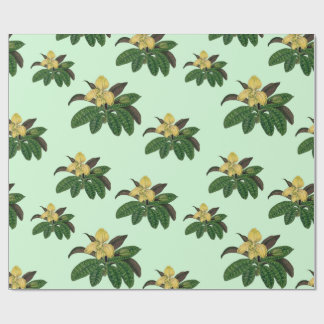 sällsynt av vintage och vackra orkidékonst presentpapper