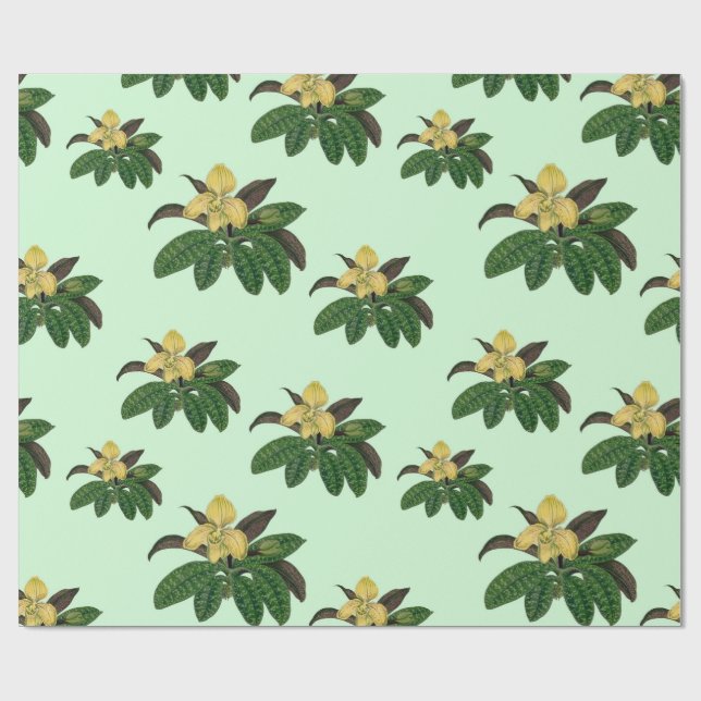 sällsynt av vintage och vackra orkidékonst presentpapper (Platt)