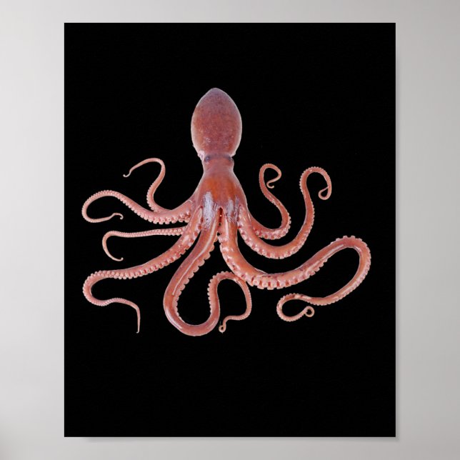 Sällsynt bläckfisk från havet för Djur älskare Poster (Framsidan)