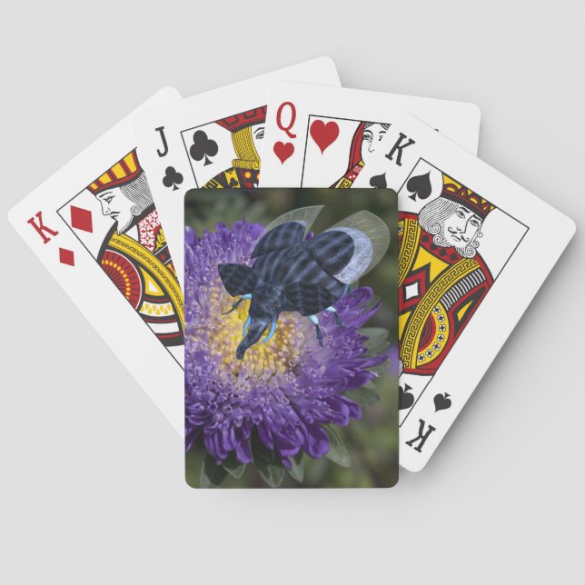 Sällsynt Blue Elephant Kryp Kortlek (Baksidan)