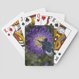 Sällsynt Blue Elephant Kryp Spel Kort