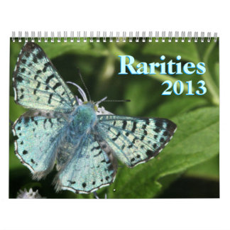 Sällsynt Butterflies 2013 Kalender