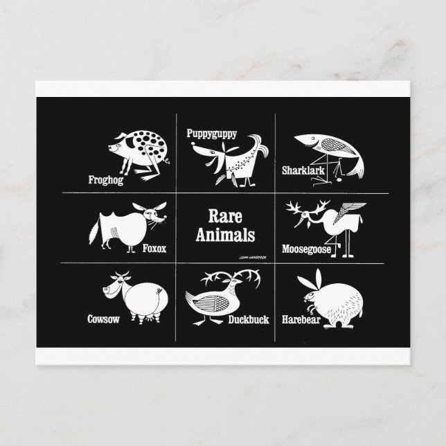 Sällsynt Djur Vykort (Framsida)