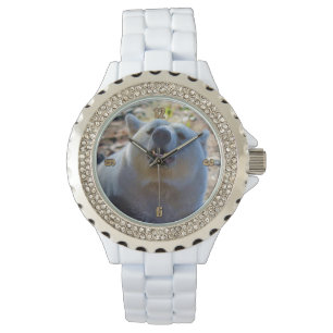 Sällsynt Kermode Bear (Spirit Bear) Wildlife Photo Armbandsur