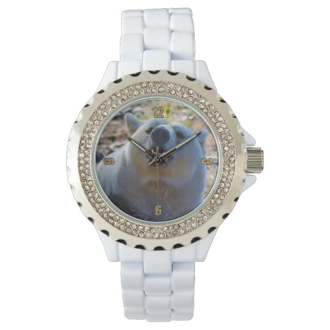 Sällsynt Kermode Bear (Spirit Bear) Wildlife Photo Armbandsur (Framsida)