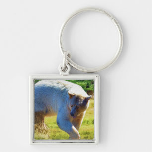 Sällsynt Kermode Bear (Spirit Bear) Wildlife Photo Fyrkantig Silverfärgad Nyckelring