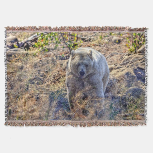 Sällsynt Kermode Bear (Spirit Bear) Wildlife Photo Mysfilt (Framsidan)