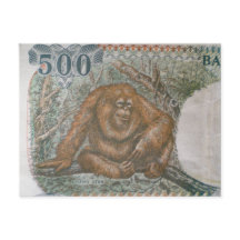 Sällsynt Orangutan Begränsad Edition