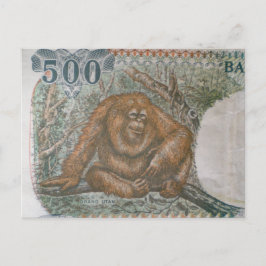 Sällsynt Orangutan Begränsad Edition Vykort